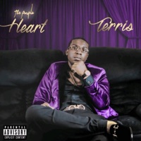 The Purple Heart - EP - Terris