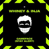 Game Face (Stay Alert) artwork