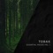 Vision (OIBAF&WALLEN Remix) - TOBAK lyrics