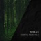 Vision (OIBAF&WALLEN Remix) - Tobak lyrics