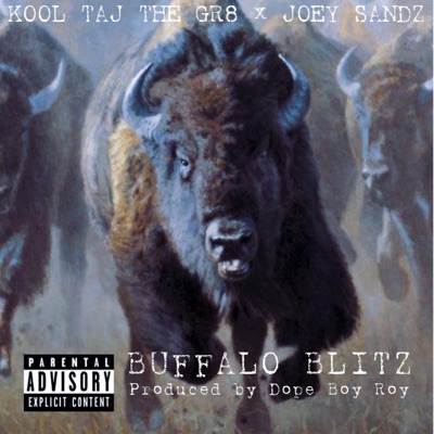 Buffalo Blitz - Single