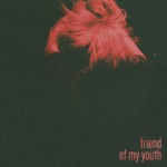 Friend of My Youth - Future Perfect