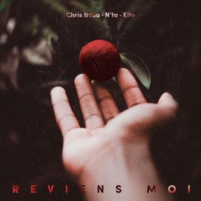 Reviens-moi (feat. Kito) - Single