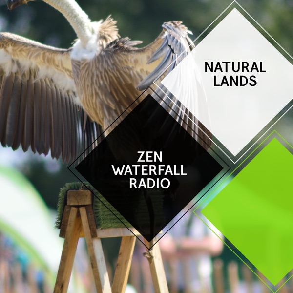 Zen Waterfall Radio - Natural Lands