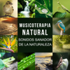 Ambiente de Bosque - Academia de Música con Sonidos de la Naturaleza