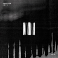 Rebirth - Single - Betoko & Haze-M