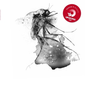 Mosquito - Single