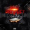 Hood Prophet (feat. Trey9ine Ty) - FreakVanGogh lyrics