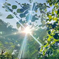 bastard (feat. luvlxckdown & 1crusafix) - Single - MO$h