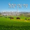 ים השיבולים artwork