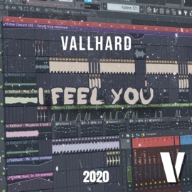 I Feel You (Extended Mix) Vallhard