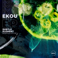 Shuffle City - EP - Subtle Element