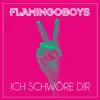Flamingoboys - Ich schwöre dir