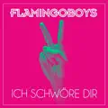 Ich Schwöre Dir