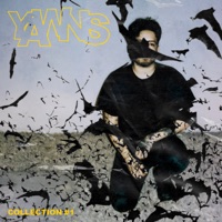 COLLECTION, NO. 1 - Yawns