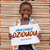 Dzidudu - Single - Kafui Chordz