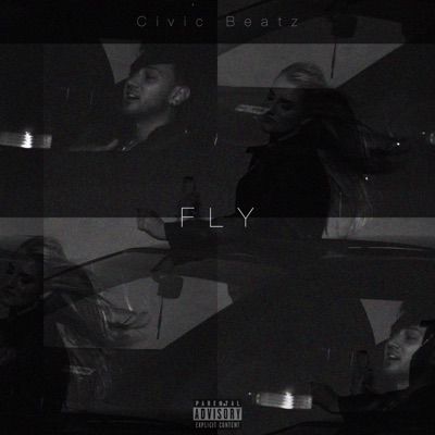 Fly - Single