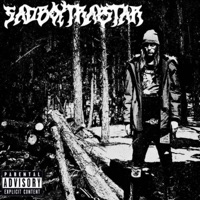 Sadboytrapstar - Single - Skeev
