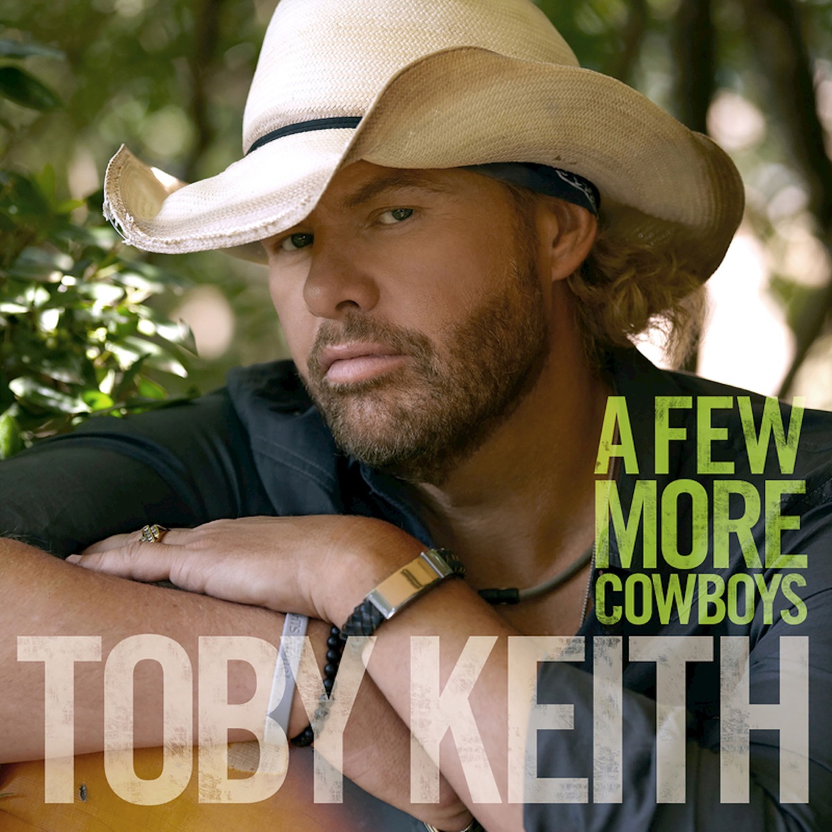 A Few More Cowboys - Single - Album by Toby Keith - Apple Music