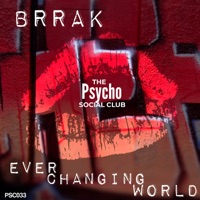 Ever Changing World - Single - Brrak
