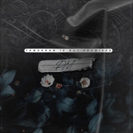 They Say Things OK!PM