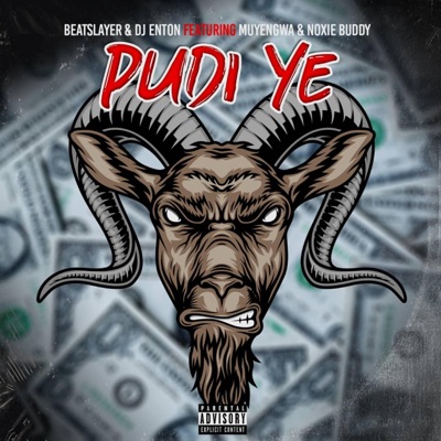 Pudi (feat. Dj Enton, Noxiebuddy & Muyengwa) - Single
