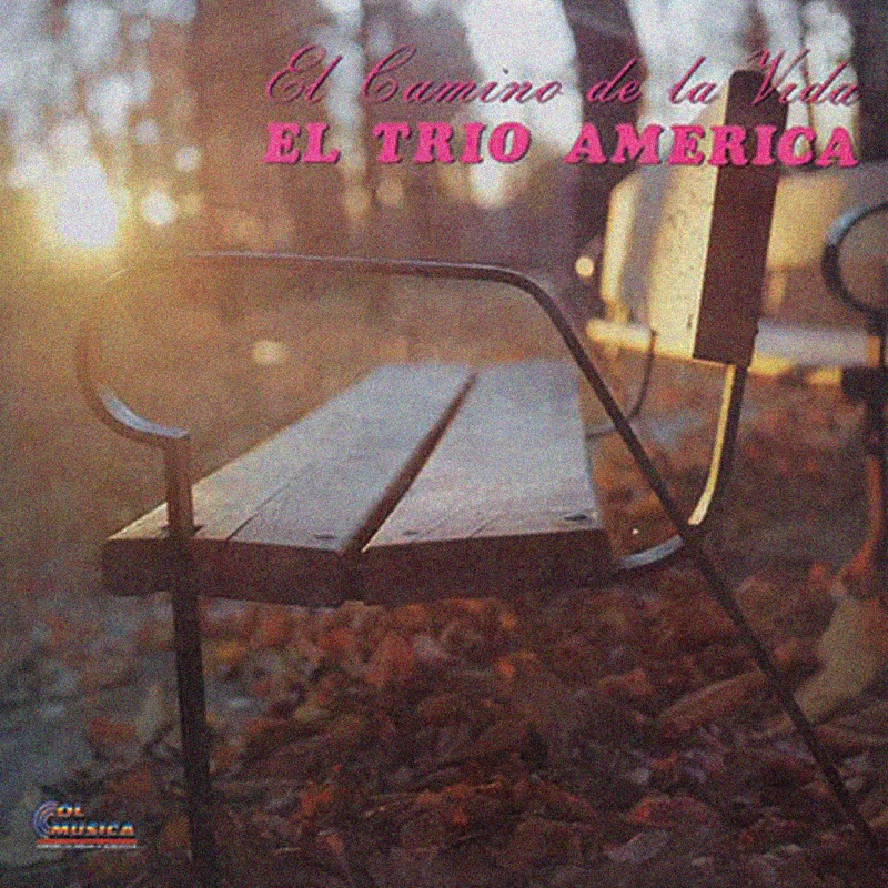 El Camino de la Vida