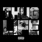 THUG LIFE (Life is Crazy) - Slim Thug lyrics