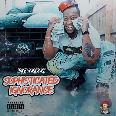 Sophisticated Ignorance