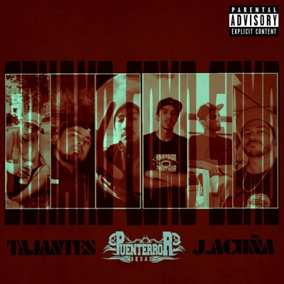 Sonamos Como Somos (feat. PuenterrorSkuad & Tajantes) - Single