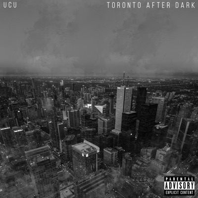 Toronto After Dark