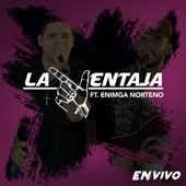 Javier Diaz (feat. Enigma Norteño) [En Vivo] artwork