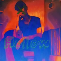 Hollow - Single - Whippy