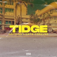 Nothing Lasts Forever - Single - Tidge