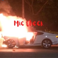 Mic Check (feat. Moetown) - Single - DoughBoi Beats