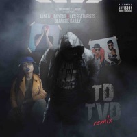 TDTVD (Remix) [feat. Boytag, Blanche Bailly & Featurist] - Single - JANEA