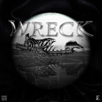 Wreck (feat. Wounded Youth) - Single - Baron