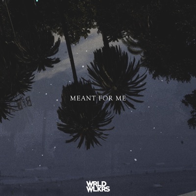Meant for Me (feat. Kev Adjei, MangosandAvocado, Genaro Ortiz & Crissleger) - Single