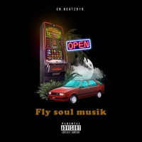 Fly Soul Musik - Single - CB.Beatz919