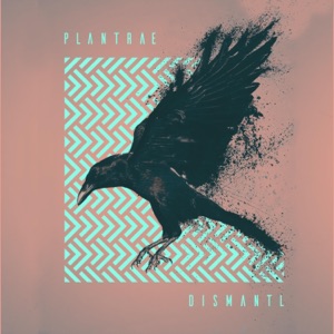Dismantl - EP