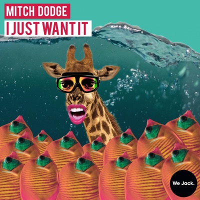 I Just Want It - Single