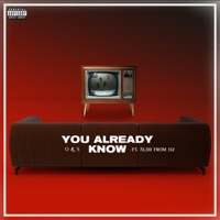 You Already Know (feat. Slim) - Single - Ron O'Neal & SV Skee