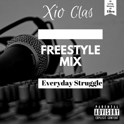 Everyday Struggle (feat. King Tut) - Single