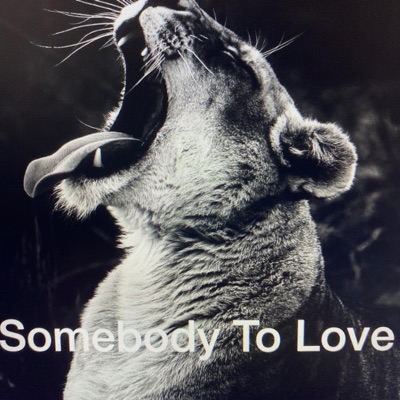 Somebody To Love (Basstrologe Remix) - Jefferson Airplane | Shazam