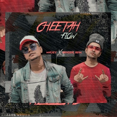 Cheetah Flow - Single