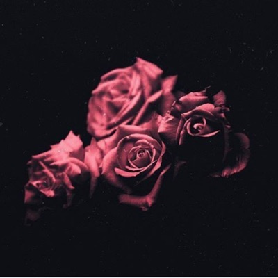 MayaPromise - Single