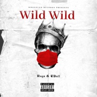 Wild Wild - Single - Ragz & TDall