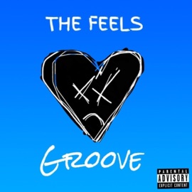 The Feels (feat. Ceauz & EJ) Groove Family