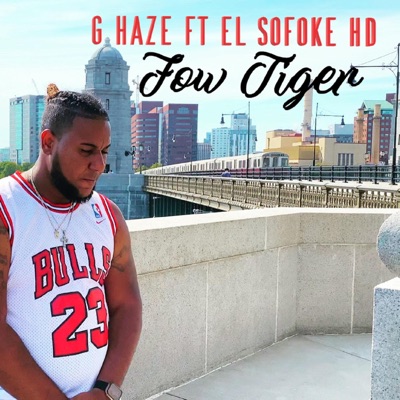 Flow Tiger (feat. El Sofoke Hd) - Single