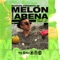 Melón Con Arena (feat. DJ Ziro) artwork